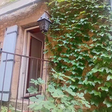 Grande Maison En Pierre Au Coeur Du Village Provencal Du Xie Siecle 10 Personnes * Saint-André-de-Roquepertuis