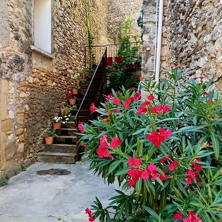 Сasa de vacaciones Grande Maison En Pierre Au Coeur Du Village Provencal Du Xie Siecle 10 Personnes