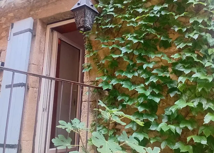 Grande Maison En Pierre Au Coeur Du Village Provencal Du Xie Siecle 10 Personnes * Saint-André-de-Roquepertuis